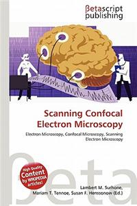 Scanning Confocal Electron Microscopy