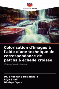 Colorisation d'images à l'aide d'une technique de correspondance de patchs à échelle croisée