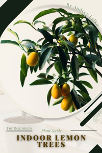 Indoor Lemon Trees
