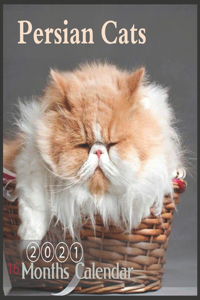 Persian cats