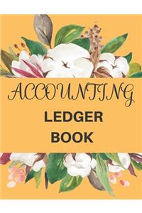 Accounting Ledger Book
