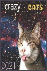crazy CATS