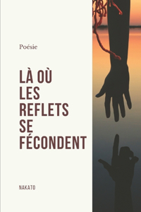 Là où les reflets se fécondent