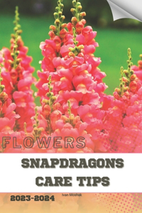 Snapdragons Care Tips: Become flowers expert