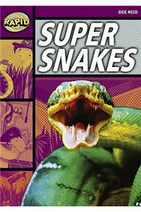 Rapid Reading: Super Snakes (Stage 1, Level 1A)