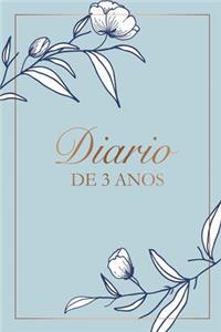 Diário de 3 anos
