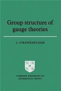 Group Structure of Gauge Theories