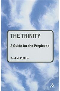 Trinity: A Guide for the Perplexed