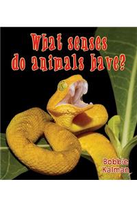 What Senses Do Animals Have?