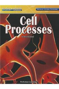 Cell Processes