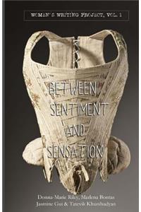 Between Sentiment & Sensation