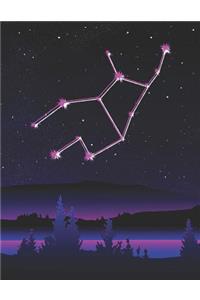 Virgo Astrological Zodiac Sign Notebook