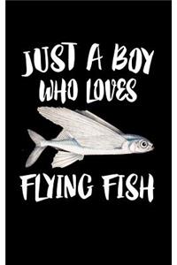 Just A Boy Who Loves Flying Fish