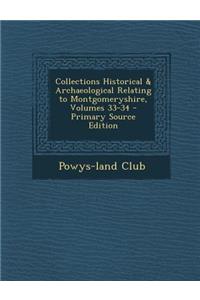 Collections Historical & Archaeological Relating to Montgomeryshire, Volumes 33-34 - Primary Source Edition