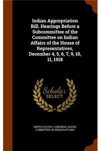 Indian Appropriation Bill. Hearings Before a Subcommittee of the Committee on Indian Affairs of the House of Representatives, December 4, 5, 6, 7, 9, 10, 11, 1918
