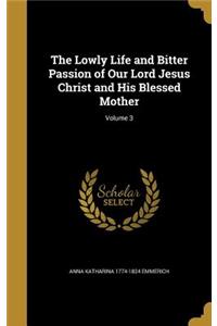Lowly Life and Bitter Passion of Our Lord Jesus Christ and His Blessed Mother; Volume 3