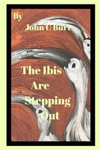 The Ibis Are Stepping Out.