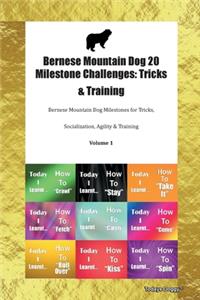 Bernese Mountain Dog 20 Milestone Challenges