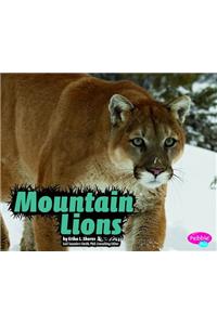 Mountain Lions