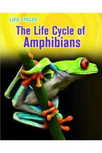 The Life Cycle of Amphibians