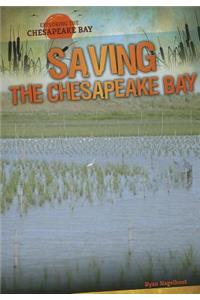 Saving the Chesapeake Bay
