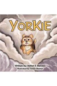 Yorkie