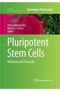 Pluripotent Stem Cells