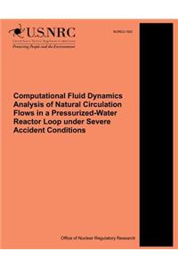 Computational Fluid Dynamics Analysis of Natural Circulation Flows in a Pressurized-Water Reactor Loop under Severe Accident Conditions
