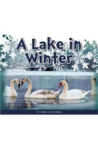 A Lake in Winter