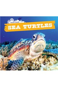 Sea Turtles