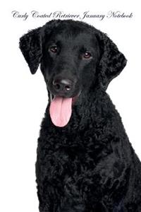 Curly Coated Retriever January Notebook Curly Coated Retriever Record, Log, Diary, Special Memories, To Do List, Academic Notepad, Scrapbook & More