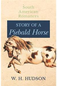 Story of a Piebald Horse