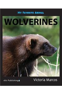 My Favorite Animal