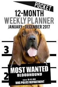 2017 Pocket Weekly Planner - Most Wanted Bloodhound