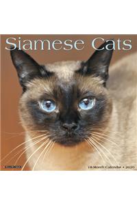 Siamese Cats 2020 Wall Calendar