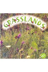 Grasslands