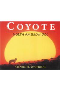 Coyote: North America's Dog