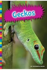 Geckos
