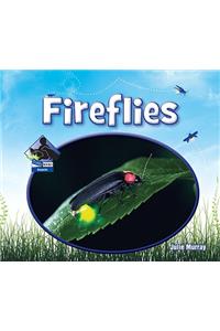 Fireflies