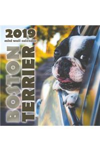 Boston Terrier 2019 Mini Wall Calendar