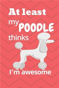 At least my Poodle thinks I'm awesome