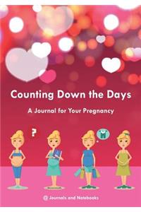 Counting Down the Days - A Journal for Your Pregnancy