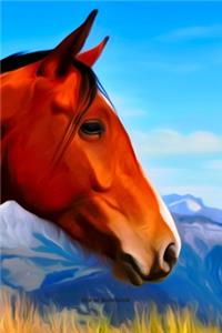 Horse Notebook