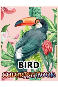 Bird Coloring Book
