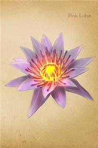 Pink Lotus