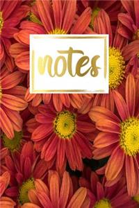 Notes