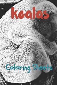 Koala Coloring Sheets