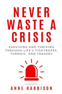 Never Waste a Crisis
