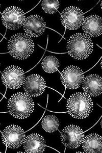 Journal Notebook Watercolor Dandelions Pattern 8