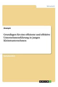 Grundlagen für eine effiziente und effektive Unternehmensführung in jungen Kleinstunternehmen